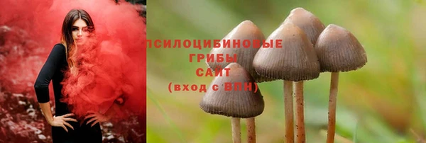 первитин Белоозёрский