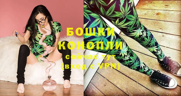 тгк Богданович