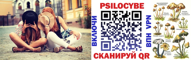 Псилоцибиновые грибы Psilocybine cubensis  хочу наркоту  Мещовск 